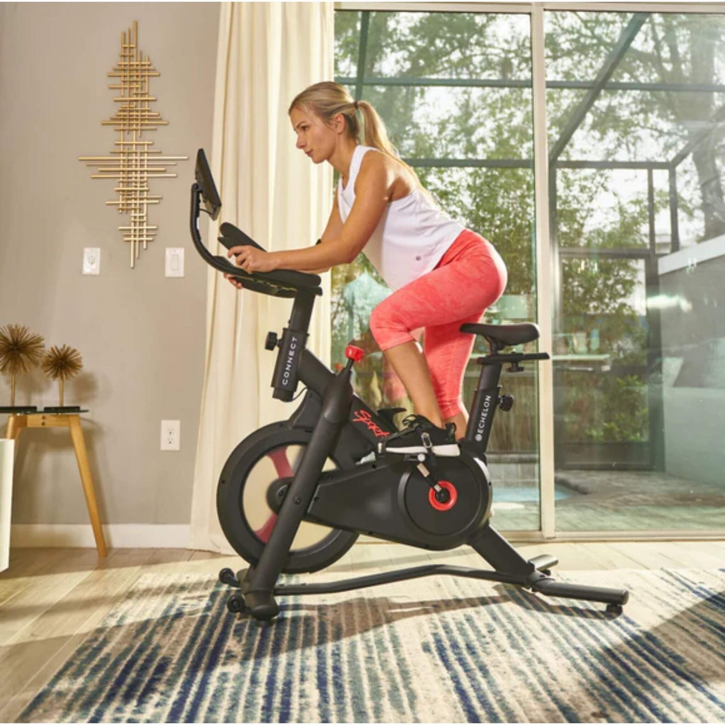 The Echelon Sport-s Smart Connect Bike bluetooth