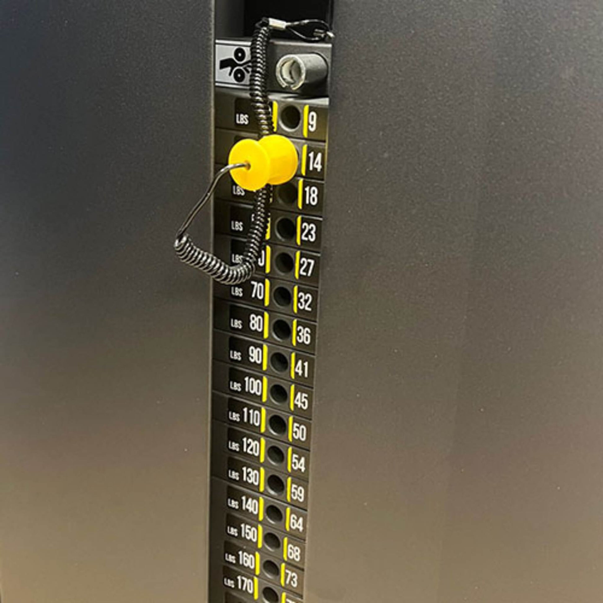 Gym Gear Pro Series Dual Adjustable Pulley stack
