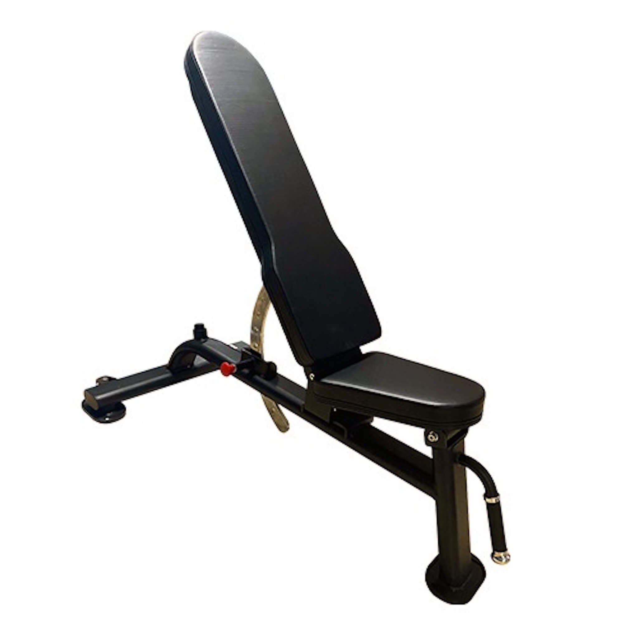 Bench Add Gym Gear Pro Series, Multi Adjustable Bench – Our Home Gym